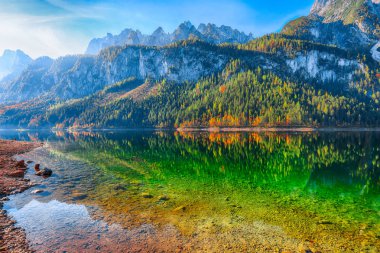 Güzel manzara pastoral renkli sonbahar sahne ile kristal berraklığında Gosausee dağ Gölü, sonbaharda yansıtan Dachstein Dağ Zirvesi. Salzkammergut bölge Upper Austria