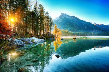 Hintersee Gölü'nün muhteşem sonbahar gündoğumu. Bir rock Island ağaçta güzel sahne. Yer: resort Ramsau, Milli Parkı Berchtesgadener arazi, Upper Bavaria, Almanya Alps, Avrupa