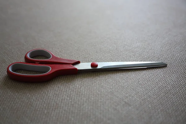 scisors kırmızı plastik saplı. Yakın çekim