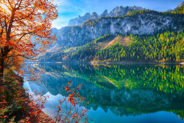 Beautiful view of idyllic colorful autumn scenery with Dachstein mountain summit reflecting in crystal clear Gosausee mountain lake in fall. Salzkammergut region Upper Austria