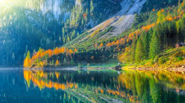 Güzel manzara pastoral renkli sonbahar sahne Dachstein Dağ Zirvesi Gosausee dağ gölü tarafından düşmek Salzkammergut bölge Yukarı Avusturya Avusturya