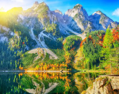 Güzel manzara pastoral renkli sonbahar sahne Dachstein Dağ Zirvesi Gosausee dağ gölü tarafından düşmek Salzkammergut bölge Yukarı Avusturya Avusturya