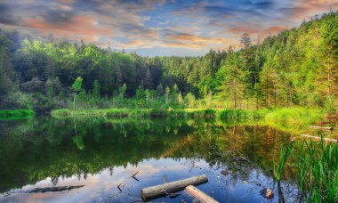 Yeşil orman, dramatik gökyüzü, çayır ve su yansıması. Yaban mersinli mi ya ölü Karpat Dağları gölde. Ulusal doğal park Skole Beskydy, Ukrayna. 