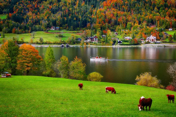 Idyllic Autumn Scene Grundlsee Lake Alpine Meadows Autumn Location Resort — Stock Photo, Image