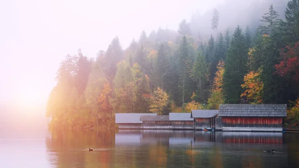 Nebliger Morgen Altsee Neblige Herbstszene Morgen Spiegelreflexion Lage Feriendorf Altaussee — Stockfoto