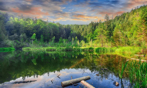 Green Forest Dramatic Sky Meadow Reflection Water Cranberry Dead Lake — Stock Photo, Image