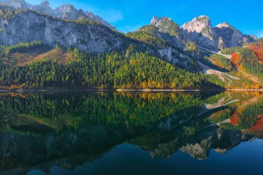 Güzel manzara pastoral renkli sonbahar sahne ile kristal berraklığında Gosausee dağ Gölü, sonbaharda yansıtan Dachstein Dağ Zirvesi. Salzkammergut bölge Upper Austria