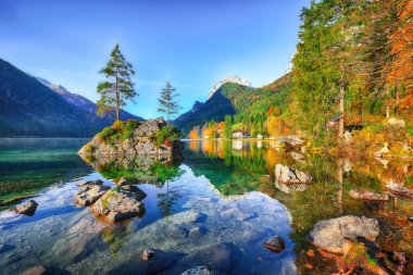 Hintersee Gölü'nün muhteşem sonbahar gündoğumu. Bir rock Island ağaçta güzel sahne. Yer: resort Ramsau, Milli Parkı Berchtesgadener arazi, Upper Bavaria, Almanya Alps, Avrupa