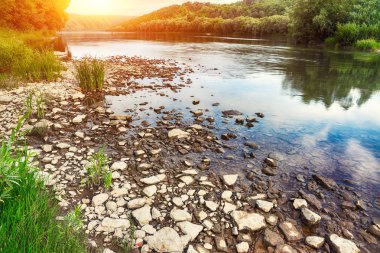 Yeşil ağaçlar Dnister kanyon. Ön plan taşlara. Ukrayna. Europe