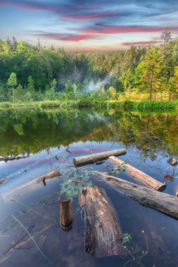 Yeşil orman, dramatik gökyüzü, çayır ve su yansıması. Yaban mersinli mi ya ölü Karpat Dağları gölde. Ulusal doğal park Skole Beskydy, Ukrayna. 