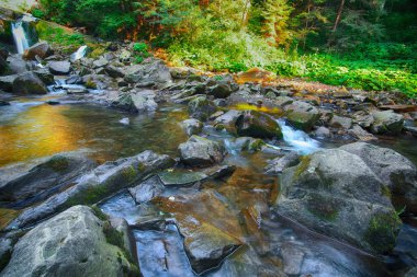 Peri dağ orman nehirde. Harika manzara ağaçlar, yeşil ile yaprak, taşlar ve bulanık su. Sarı güneş ışığı ile sihirli orman