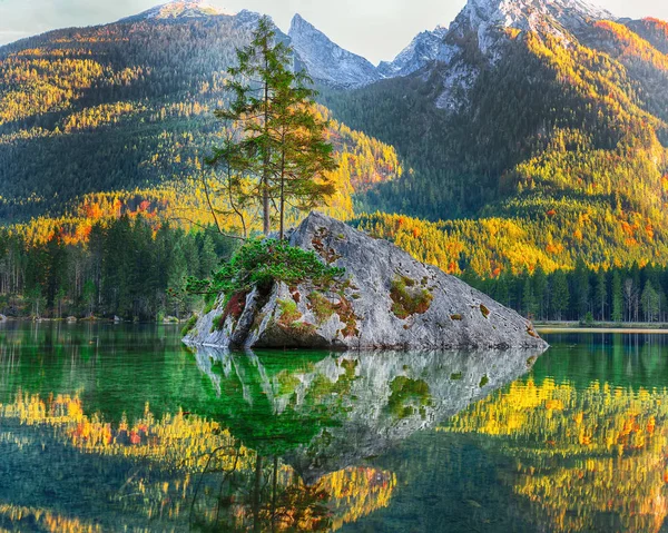 神奇的秋天的深湖 岩石岛上美丽的树木场景 度假村拉姆绍 贝希特斯加登州国家公园 上巴伐利亚 德国阿尔卑斯山 — 图库照片