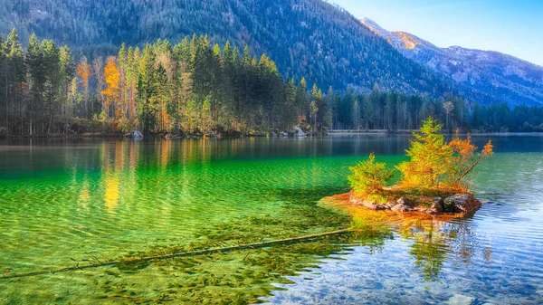 Fantastisch Herfst Zonsopgang Van Hintersee Meer Mooie Scène Van Bomen — Stockfoto