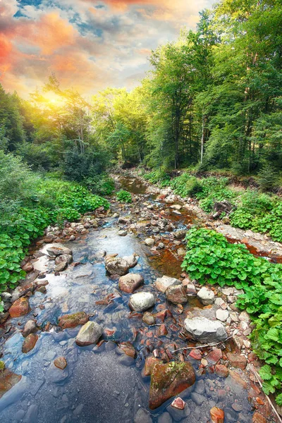 妖精川山林 石とぼやけの水 緑の木が幻想的な風景を残します 黄色の日光と魔法の森 — ストック写真