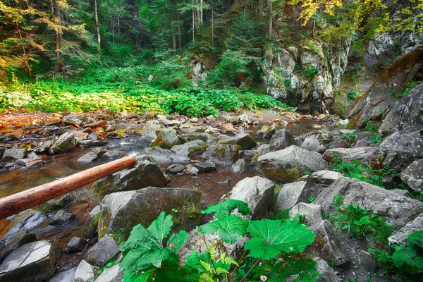 Víla Horského Lesa Řeky Fantastická Krajina Stromy Zelené Listy Kameny — Stock fotografie