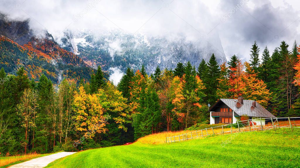 Idyllic autumn scene near Grundlsee lake. Alpine forest at autumn. Location: resort Grundlsee, Liezen District of Styria, Austria, Alps. Europe.