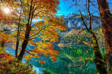Güzel manzara pastoral renkli sonbahar sahne ile kristal berraklığında Gosausee dağ Gölü, sonbaharda yansıtan Dachstein Dağ Zirvesi. Salzkammergut bölge Upper Austria