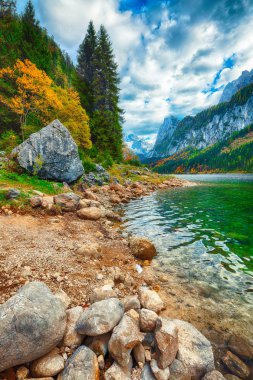 Güzel manzara pastoral renkli sonbahar sahne Dachstein Dağ Zirvesi Gosausee dağ gölü tarafından düşmek Salzkammergut bölge Yukarı Avusturya Avusturya