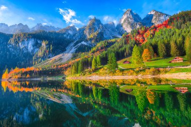 Güzel manzara pastoral renkli sonbahar sahne ile kristal berraklığında Gosausee dağ Gölü, sonbaharda yansıtan Dachstein Dağ Zirvesi. Salzkammergut bölge Upper Austria