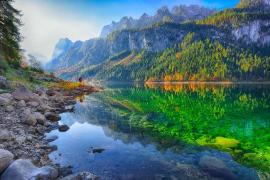 Güzel manzara pastoral renkli sonbahar sahne ile kristal berraklığında Gosausee dağ Gölü, sonbaharda yansıtan Dachstein Dağ Zirvesi. Salzkammergut bölge Upper Austria