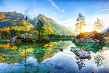 Hintersee Gölü'nün muhteşem sonbahar günbatımı. Bir rock Island ağaçta güzel sahne. Yer: resort Ramsau, Milli Parkı Berchtesgadener arazi, Upper Bavaria, Almanya Alps, Avrupa