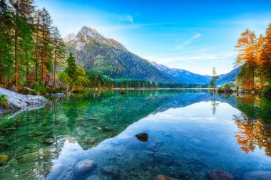 Hintersee Gölü'nün muhteşem sonbahar gündoğumu. Turkuaz su Hintersee Gölü'nün yakınında ağaçlar güzel sahne. Yer: resort Ramsau, Milli Parkı Berchtesgadener arazi, Upper Bavaria, Almanya Alps, Avrupa