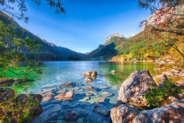Hintersee Gölü'nün muhteşem sonbahar gündoğumu. Turkuaz su Hintersee Gölü'nün yakınında ağaçlar güzel sahne. Yer: resort Ramsau, Milli Parkı Berchtesgadener arazi, Upper Bavaria, Almanya Alps, Avrupa