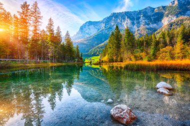 Hintersee Gölü'nün muhteşem sonbahar günbatımı. Turkuaz su Hintersee Gölü'nün yakınında ağaçlar güzel sahne. Yer: resort Ramsau, Milli Parkı Berchtesgadener arazi, Upper Bavaria, Almanya Alps, Avrupa