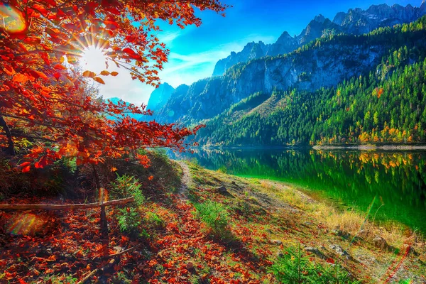 Όμορφη Θέα Από Ειδυλλιακό Πολύχρωμο Φθινόπωρο Τοπίο Σύνοδο Κορυφής Βουνό — Φωτογραφία Αρχείου