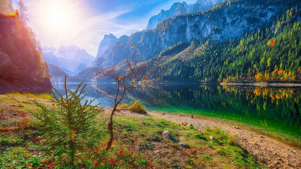 Schöne Aussicht Auf Die Idyllische Farbenfrohe Herbstlandschaft Mit Dem Dachsteingipfel — Stockfoto