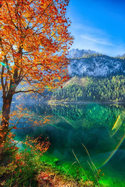 Bela Vista Paisagem Outono Colorido Idílico Com Dachstein Cume Montanha — Fotografia de Stock