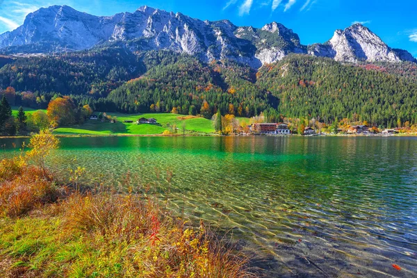 神奇的秋天的深湖 Hintersee 湖绿松石水附近的树木的美丽场景 度假村拉姆绍 贝希特斯加登州国家公园 上巴伐利亚 德国阿尔卑斯山 — 图库照片