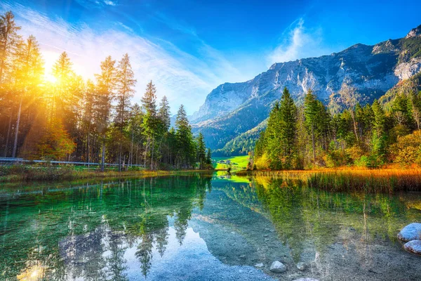 Fantastic autumn sunset of Hintersee lake. Beautiful scene of trees near turquoise water of Hintersee lake. Location: resort Ramsau, National park Berchtesgadener Land, Upper Bavaria, Germany Alps, Europe