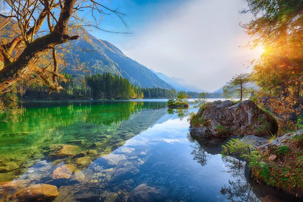 Hintersee 湖の幻想的な秋の夕日 Hintersee 湖の青緑色の水の近くの木の美しいシーン リゾート国立公園ベルヒテス ラムサウ上部のババリア ドイツ アルプス ヨーロッパ — ストック写真