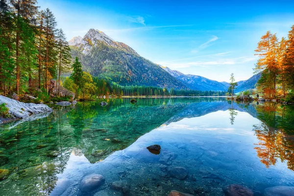 Hintersee 湖の幻想的な秋の日の出 Hintersee 湖の青緑色の水の近くの木の美しいシーン リゾート国立公園ベルヒテス ラムサウ上部のババリア ドイツ アルプス ヨーロッパ — ストック写真