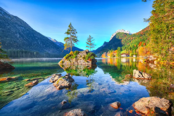 Fantastisch Herfst Zonsopgang Van Hintersee Meer Mooie Scène Van Bomen — Stockfoto