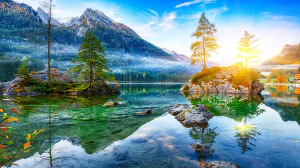 Fantastischer Herbstsonnenaufgang Hintersee Schöne Szene Von Bäumen Auf Einer Felseninsel — Stockfoto