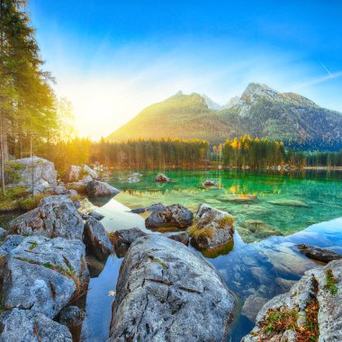 Hintersee Gölü'nün muhteşem sonbahar gündoğumu. Turkuaz su Hintersee Gölü'nün yakınında ağaçlar güzel sahne. Yer: resort Ramsau, Milli Parkı Berchtesgadener arazi, Upper Bavaria, Almanya Alps, Avrupa