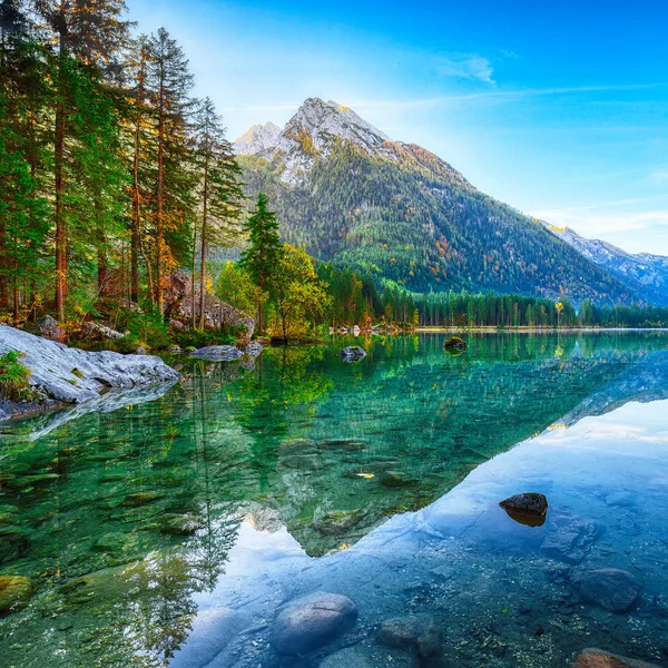 Fantastic Autumn Sunrise Hintersee Lake Beautiful Scene Trees Turquoise Water — Stock Photo, Image