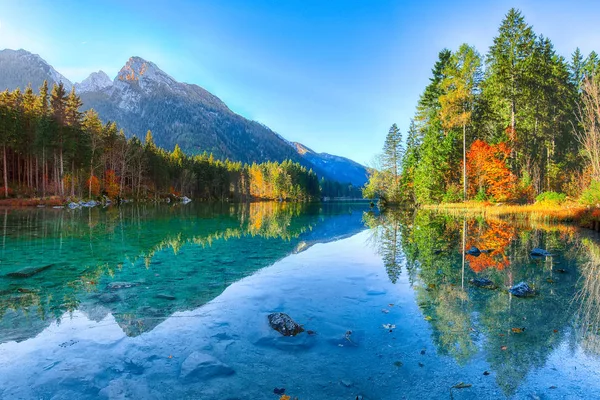 Fantastic Autumn Sunrise Hintersee Lake Beautiful Scene Trees Turquoise Water — Stock Photo, Image