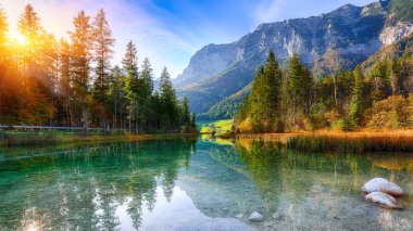 Hintersee Gölü'nün muhteşem sonbahar günbatımı. Turkuaz su Hintersee Gölü'nün yakınında ağaçlar güzel sahne. Yer: resort Ramsau, Milli Parkı Berchtesgadener arazi, Upper Bavaria, Almanya Alps, Avrupa