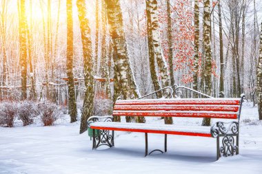 Park bankında ve tarafından ağır kar kaplı ağaçlar. Bol karlı. Günbatımı Zamanı