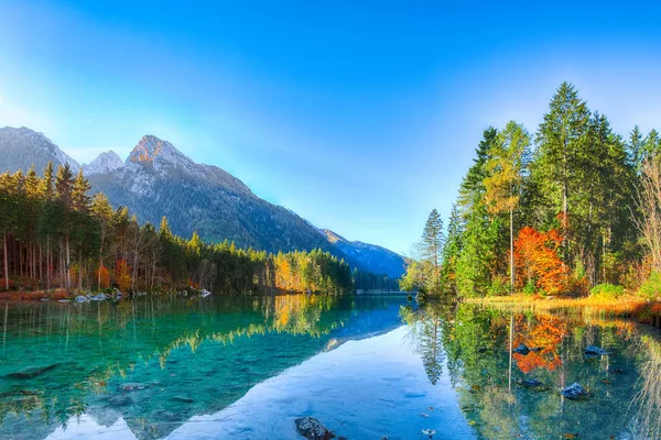 Hintersee 湖の幻想的な秋の日の出 Hintersee 湖の青緑色の水の近くの木の美しいシーン リゾート国立公園ベルヒテス ラムサウ上部のババリア ドイツ アルプス ヨーロッパ — ストック写真