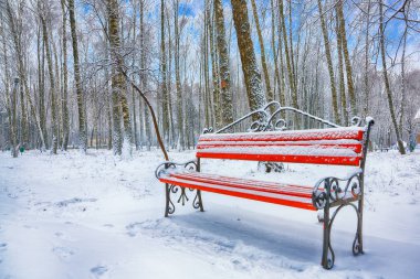 Park bankında ve tarafından ağır kar kaplı ağaçlar. Bol karlı Şehir Parkı