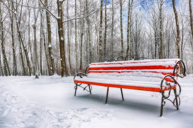Park bankında ve tarafından ağır kar kaplı ağaçlar. Bol karlı Şehir Parkı.