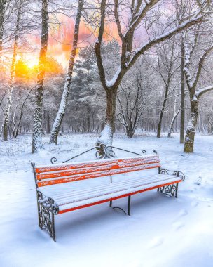 Park bankında ve tarafından ağır kar kaplı ağaçlar. Bol karlı. Günbatımı Zamanı