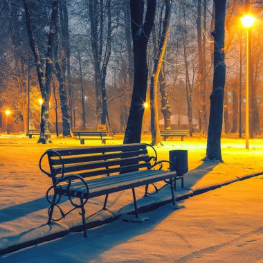 Winter park banklar ile akşam karla kaplı. Kış akşam central Park'ta.
