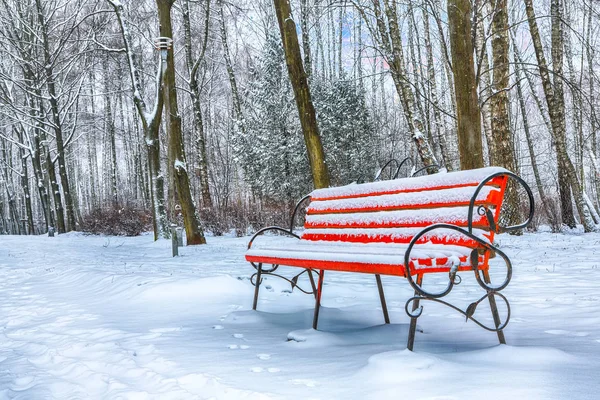 公園のベンチと雪で覆われた木 都市公園における雪の多く — ストック写真