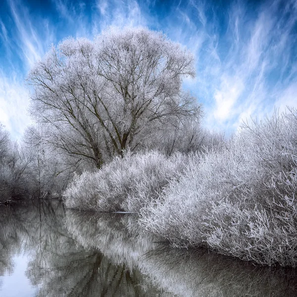 Piękne Tło Sceny Krajobraz Zimy Śniegiem Pokryte Drzewami Rzeka Lodu — Zdjęcie stockowe