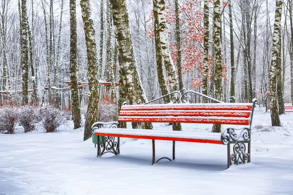Park bankında ve tarafından ağır kar kaplı ağaçlar. Bol karlı Şehir Parkı.